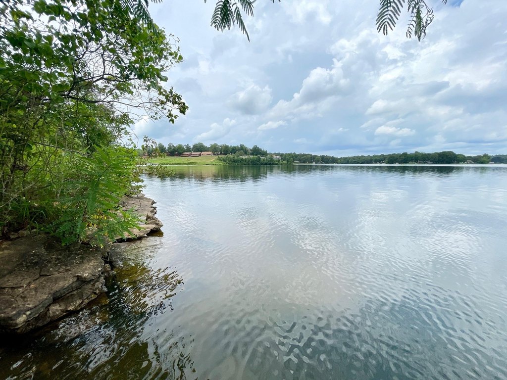Picture 5