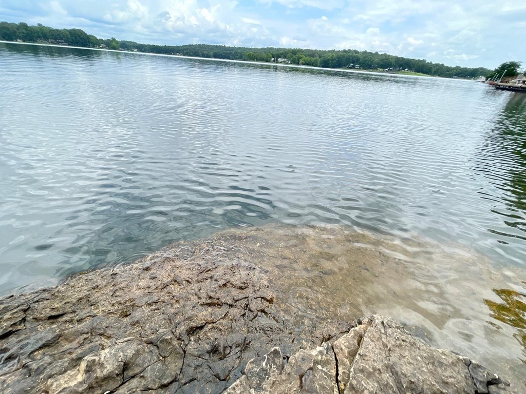 Picture 8