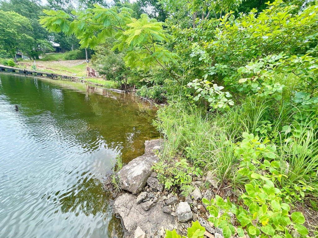 Picture 15