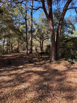 71 Acres Land in Freeport, FL