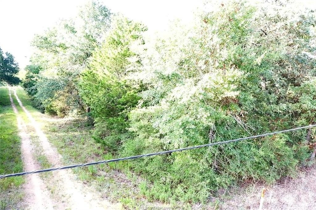 Picture 5