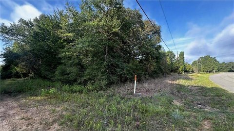 LAND - Hilltop Lakes, TX
