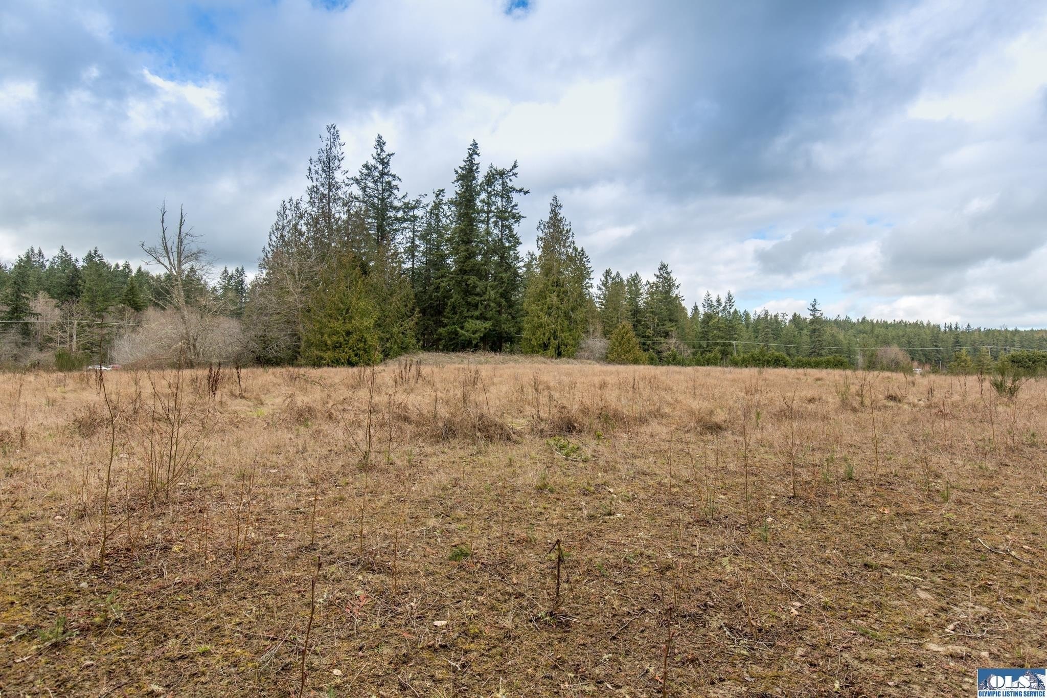 Sequim Land with Mountain Views