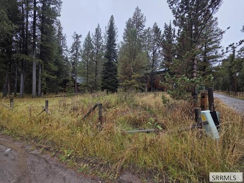 Land, Island Park, ID