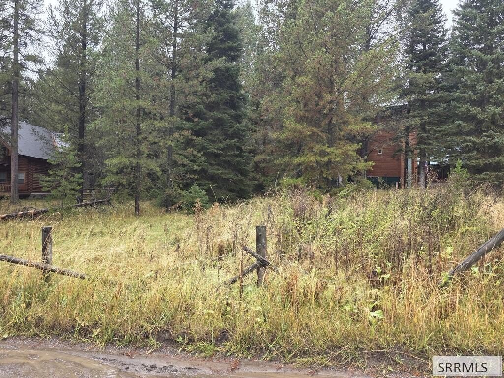 Picture 2