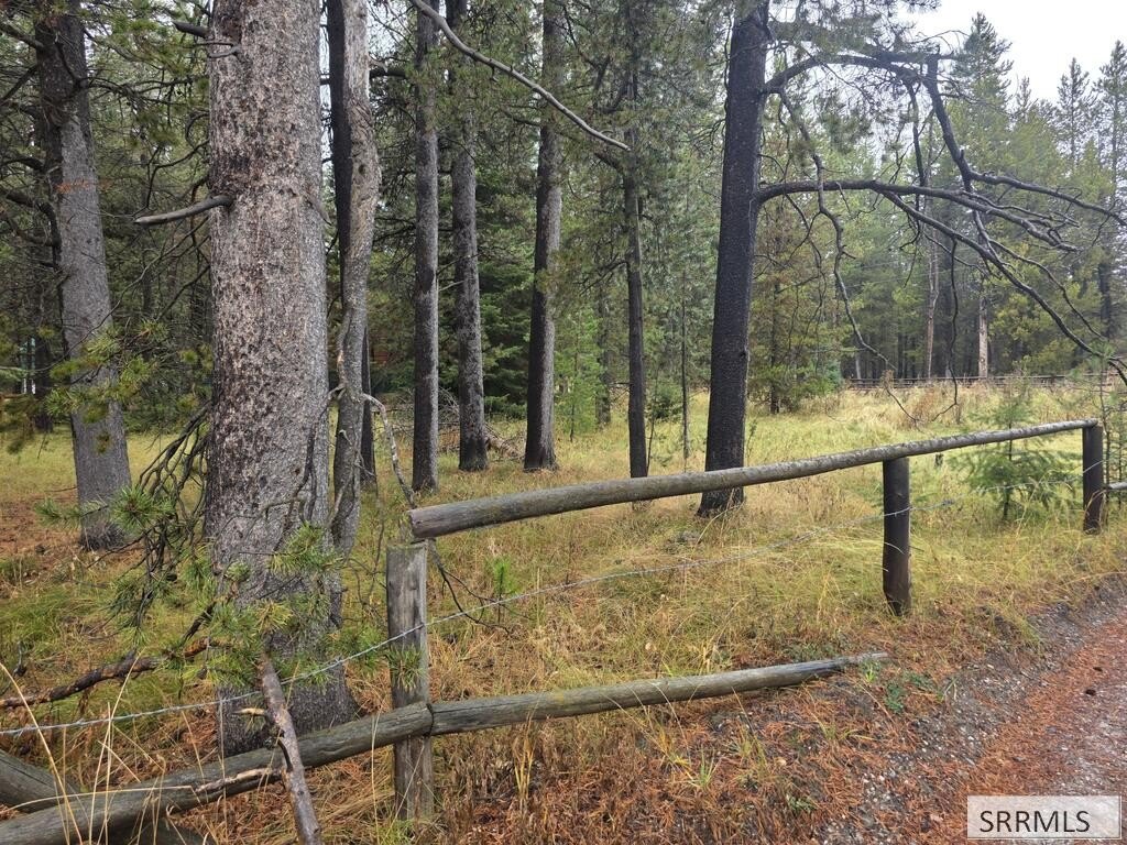 Picture 9