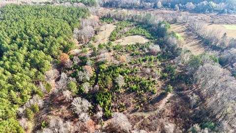 Yalobusha County Hunting & Recreation Land