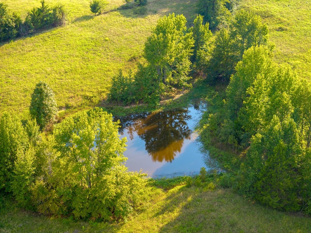 Picture 17