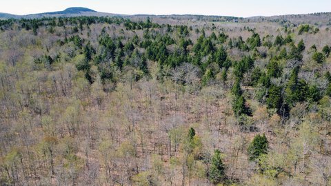 Wooded Lot in Dedham, Maine
