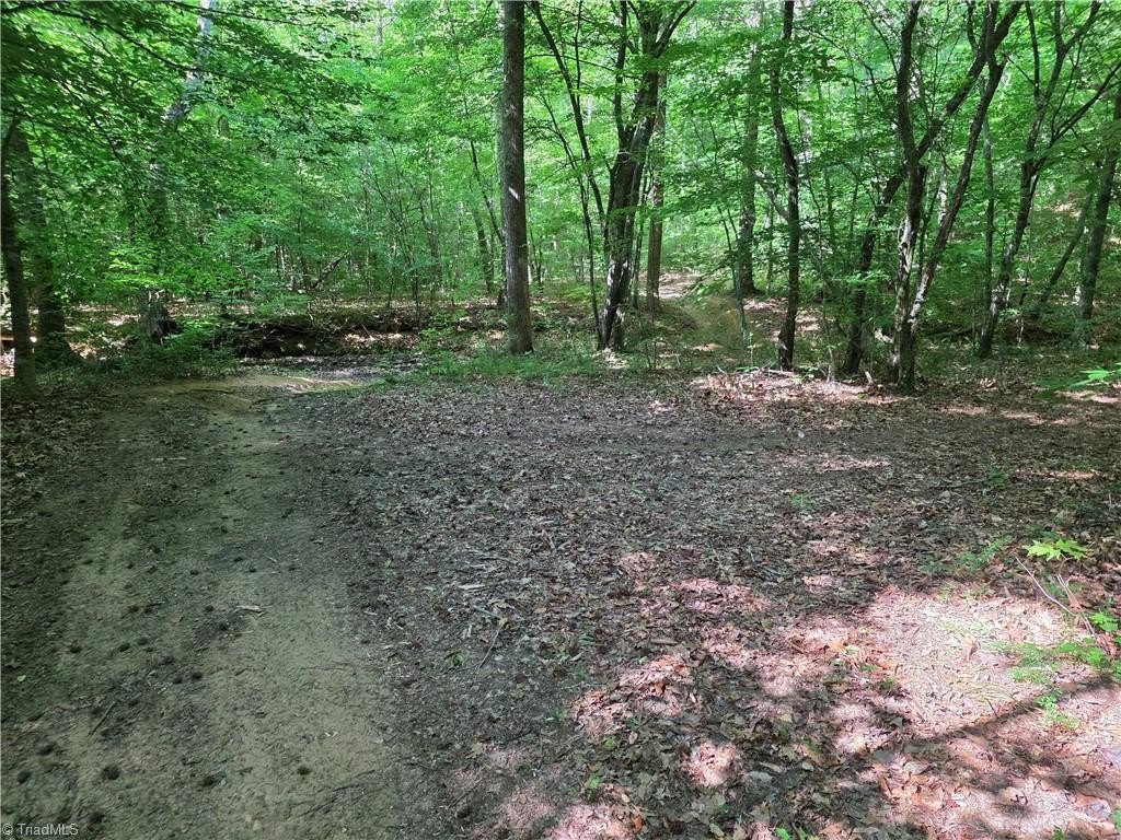 Picture 30