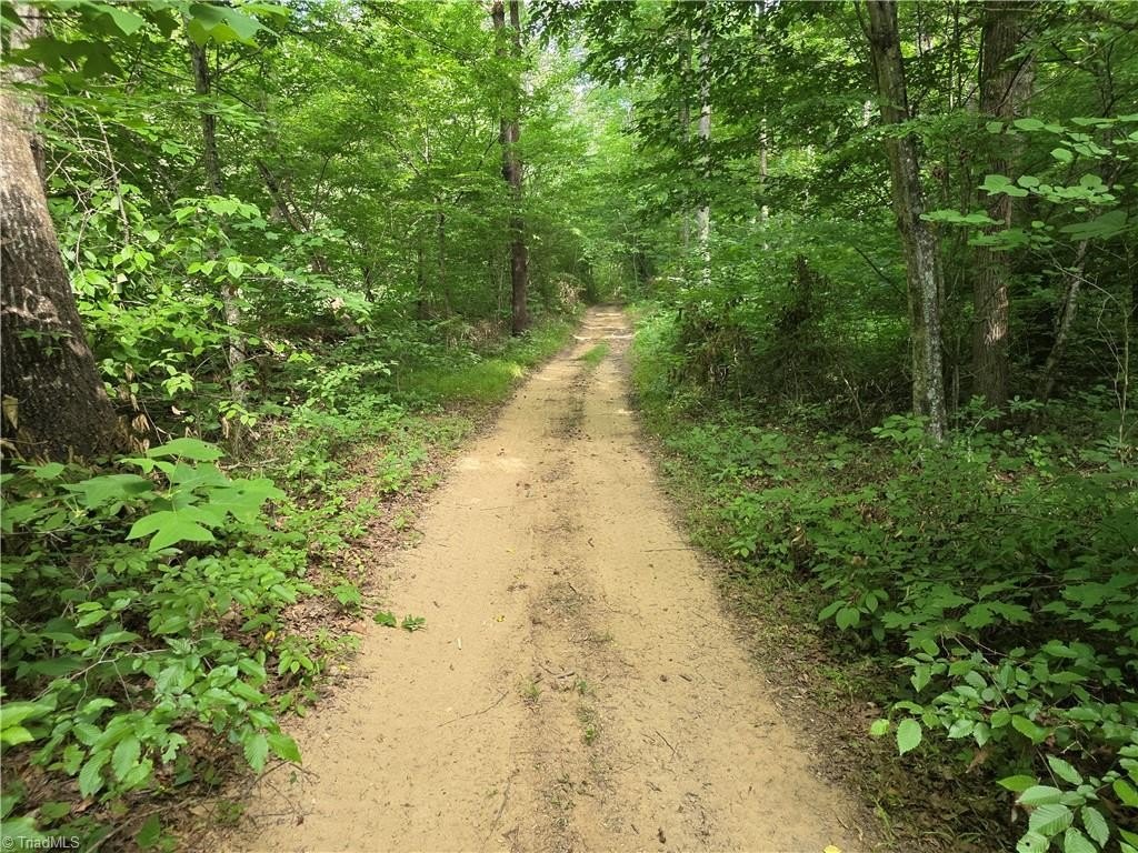 Picture 25