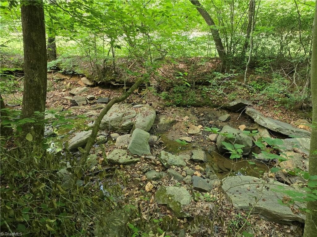 Picture 26