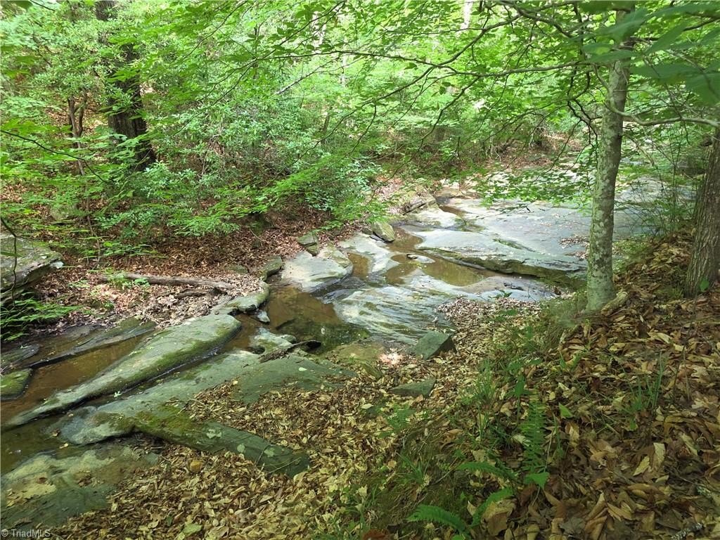 Picture 27