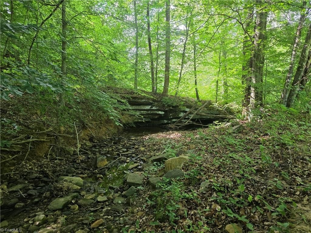 Picture 14