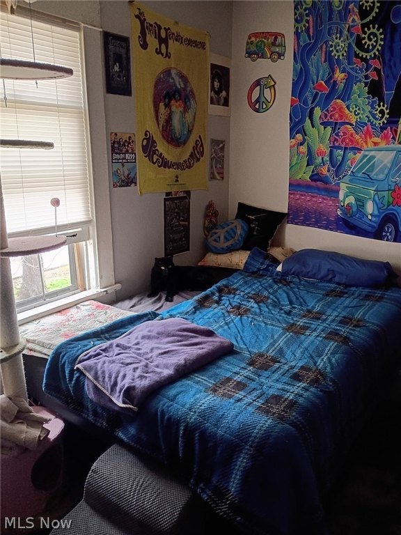 Picture 16