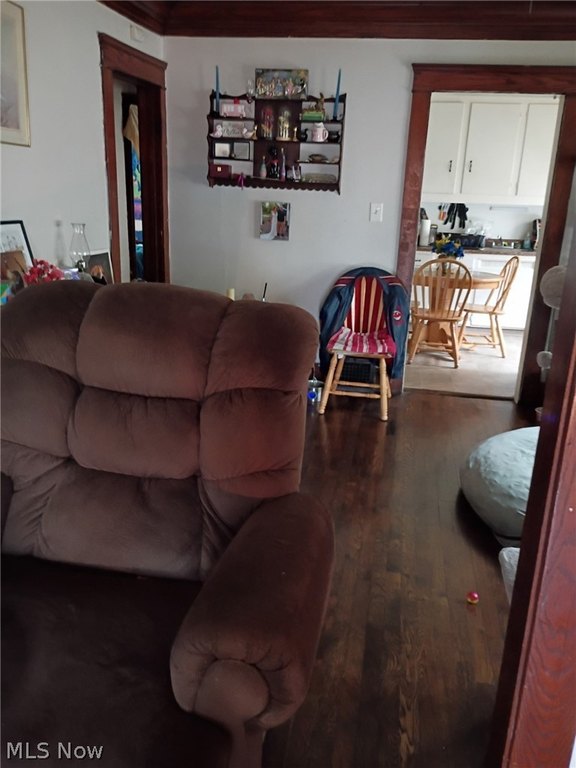 Picture 14