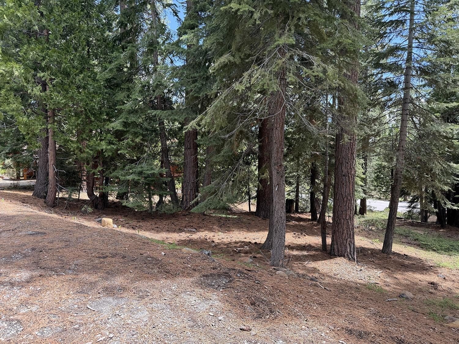 Kings Beach Land For Sale