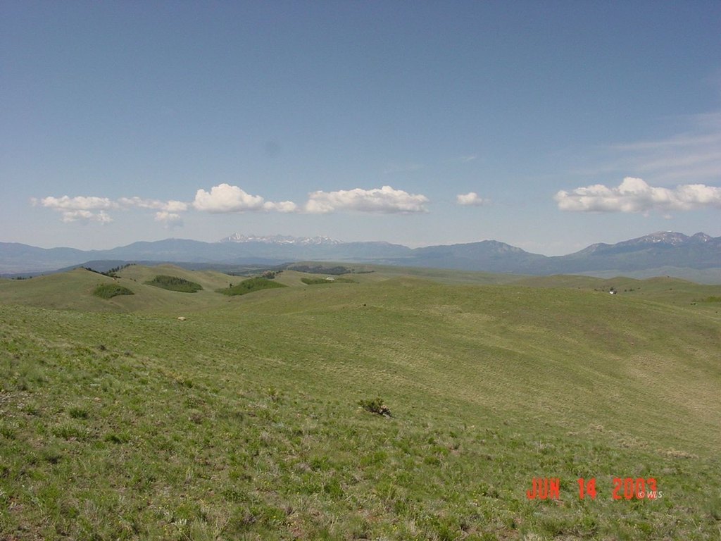 Picture 2