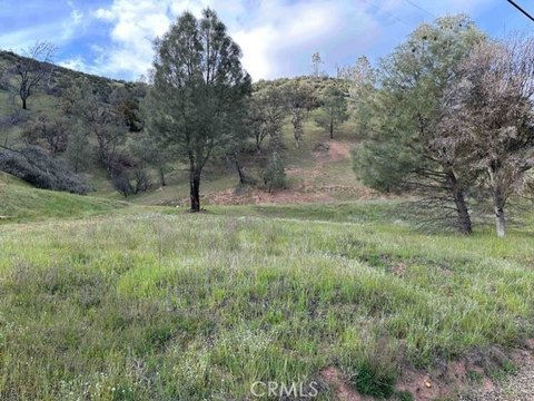 8 Acres of Rolling Hills