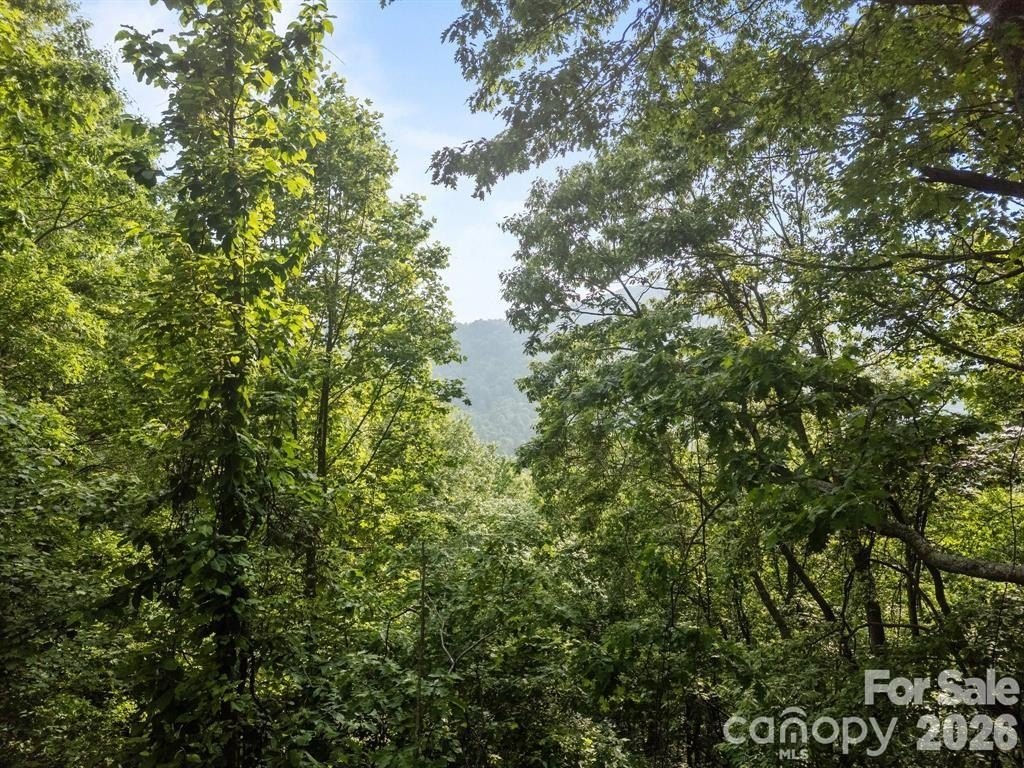 Mountain Land Parcel Near Asheville