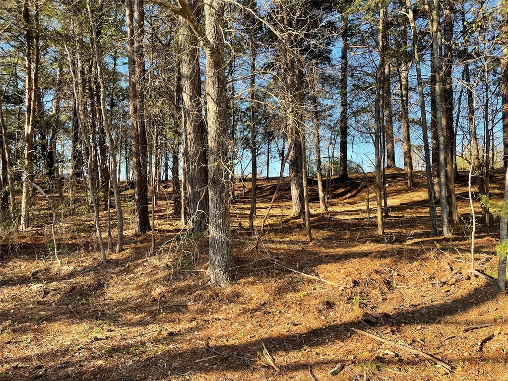 Picture 10
