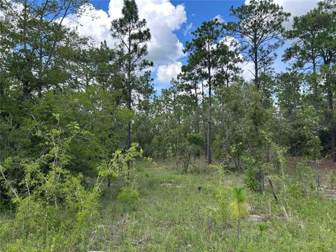 Land, MORRISTON, FL