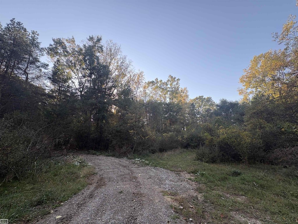 Picture 23