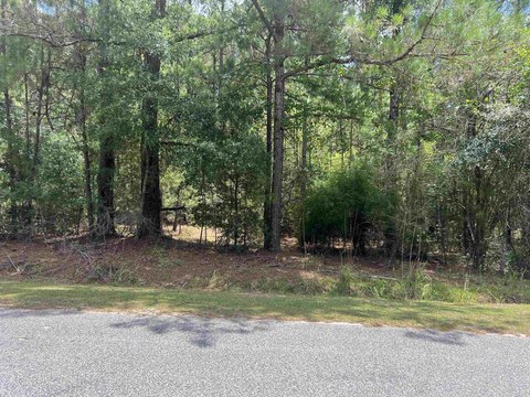 LAND - Andrews, SC
