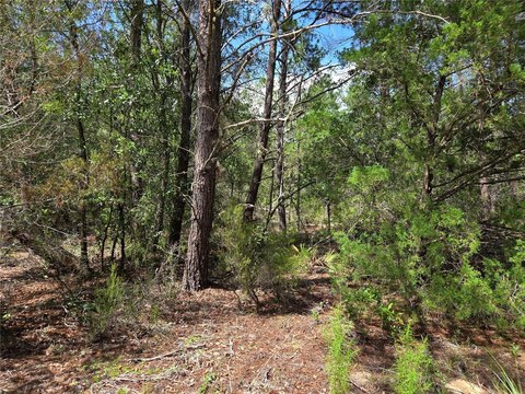 LAND - ARCHER, FL