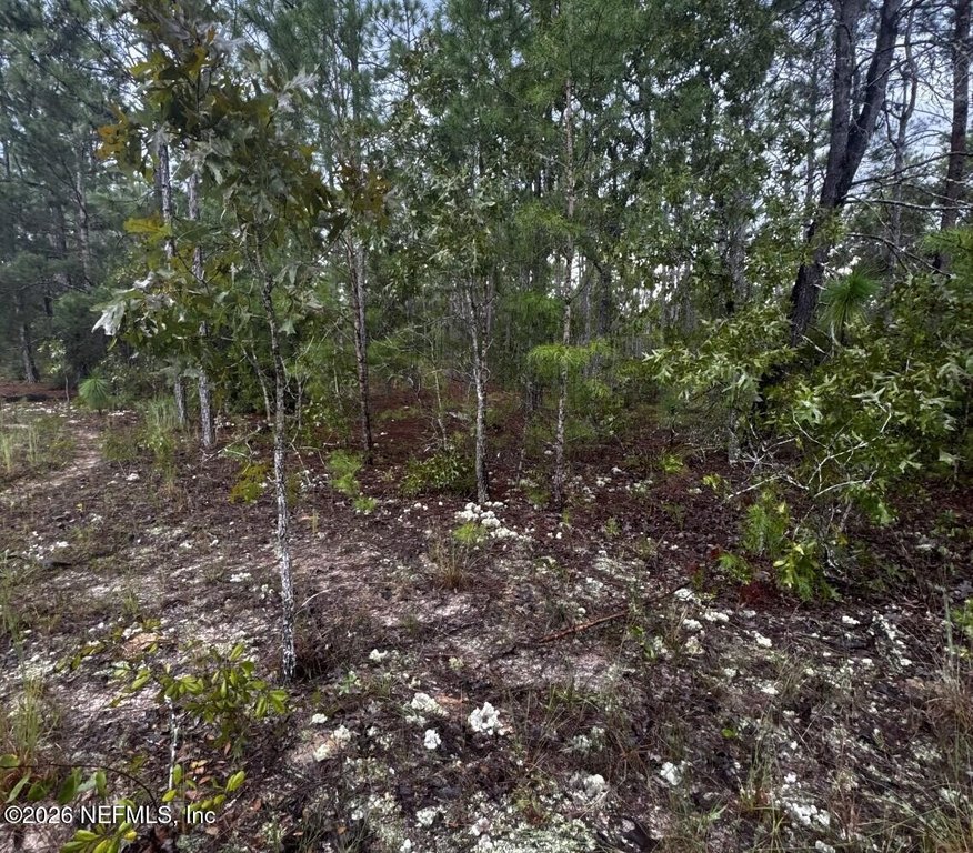 Picture 5