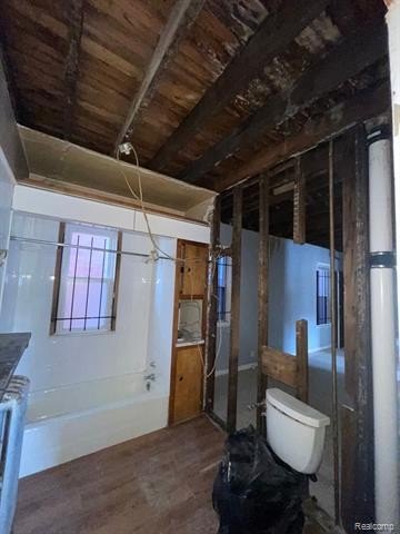 Picture 23