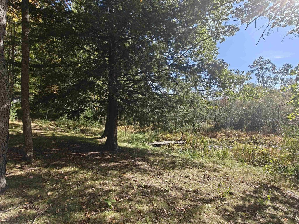 Picture 21