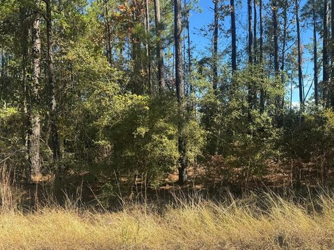 Waterfront Lot in Brookeland, TX