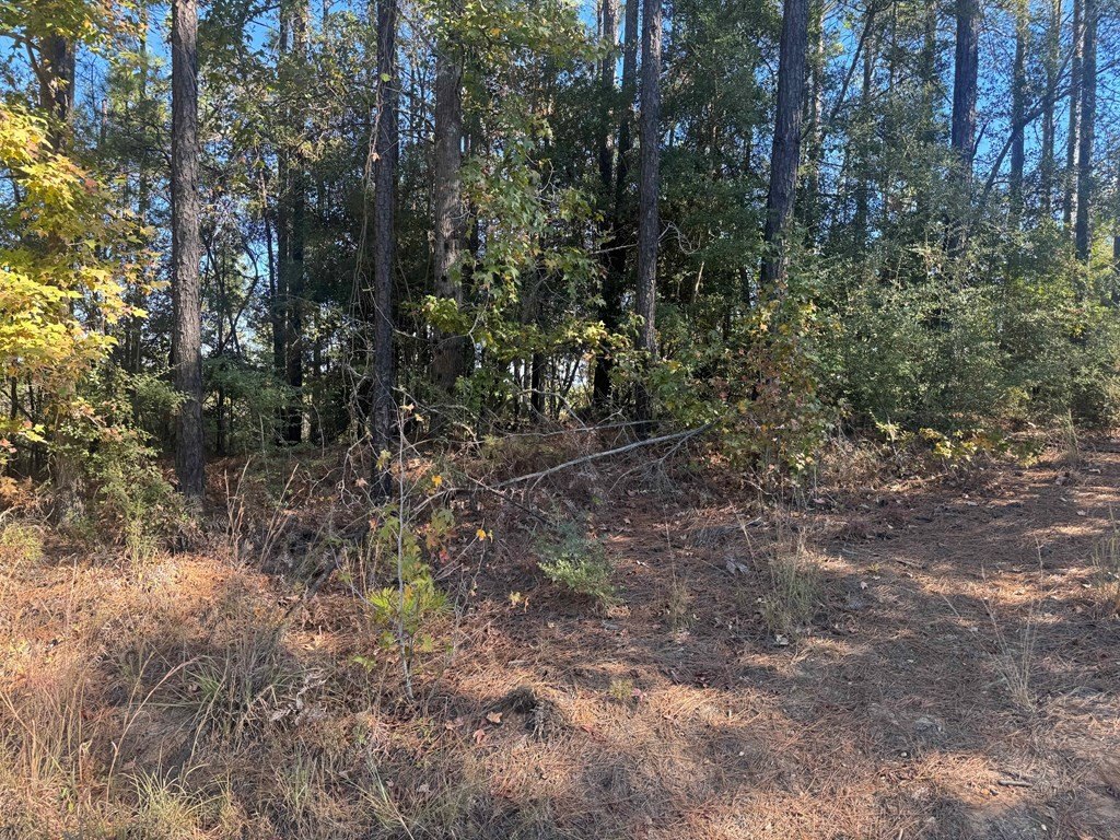 Picture 10