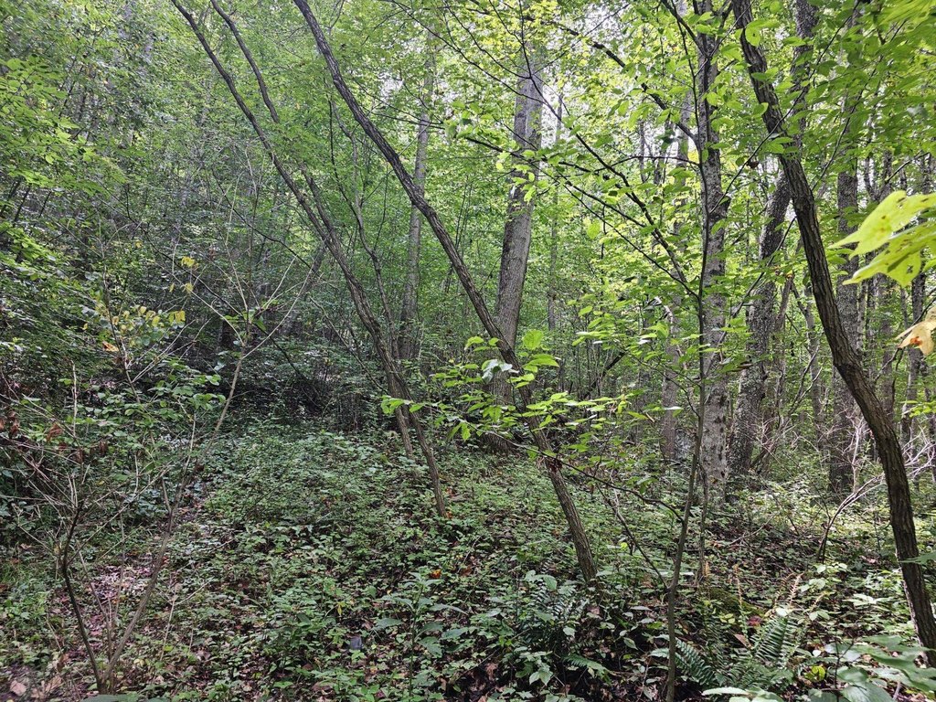 Picture 27
