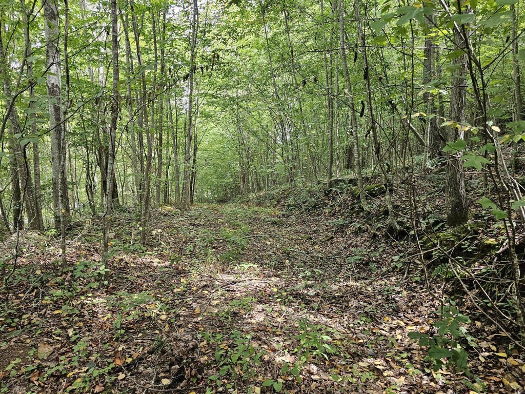 Picture 25
