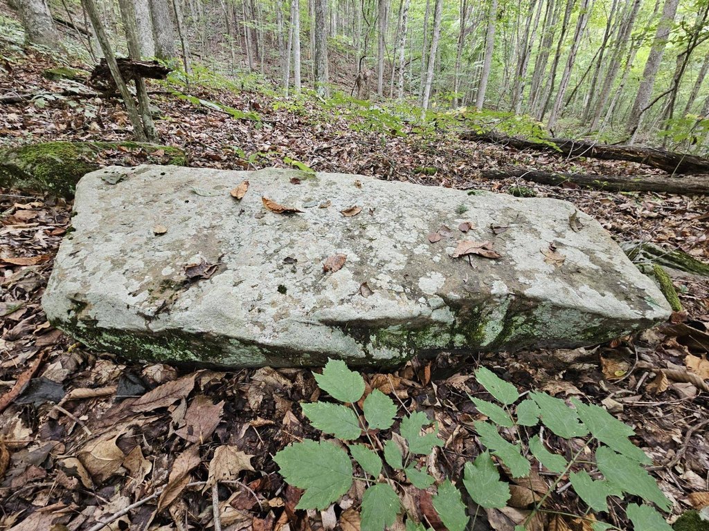 Picture 17