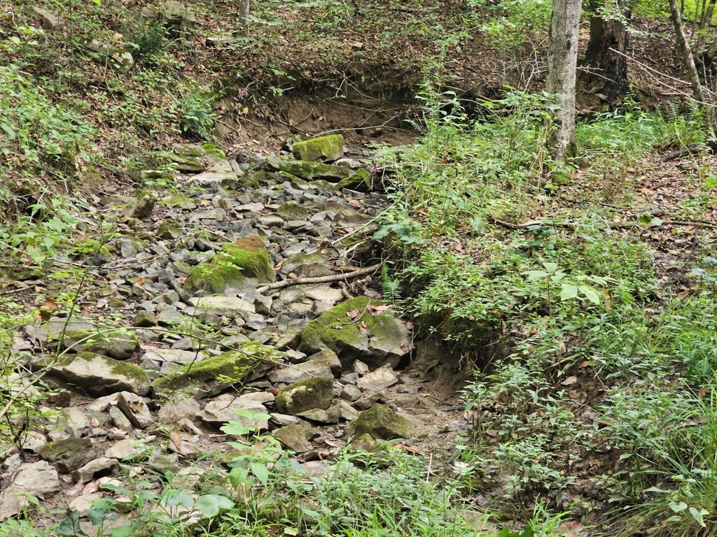 Picture 13