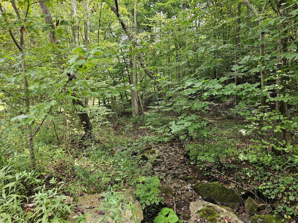 Picture 28
