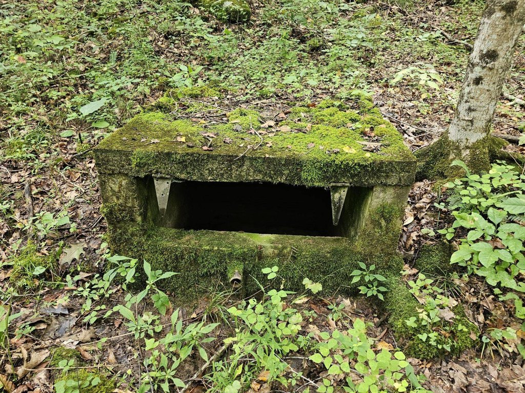 Picture 18