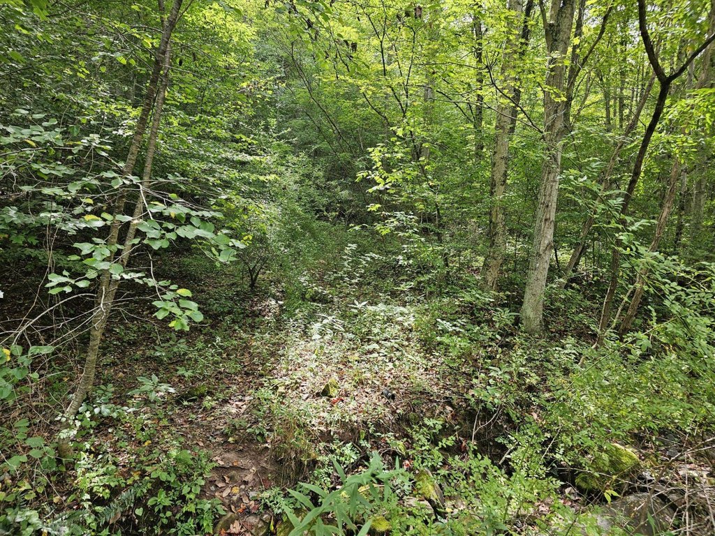 Picture 22