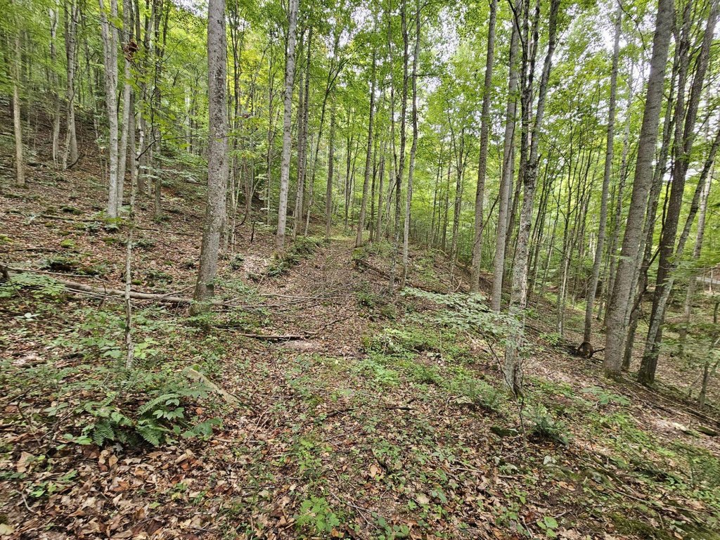 Picture 16