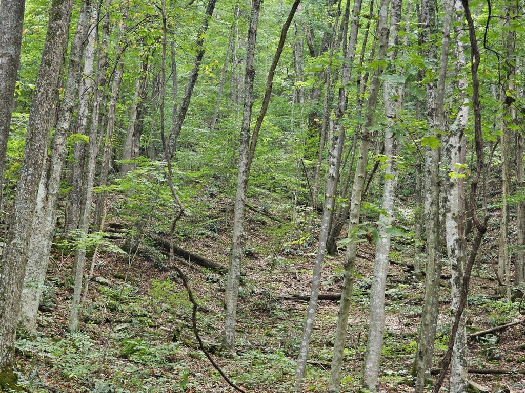 Picture 23