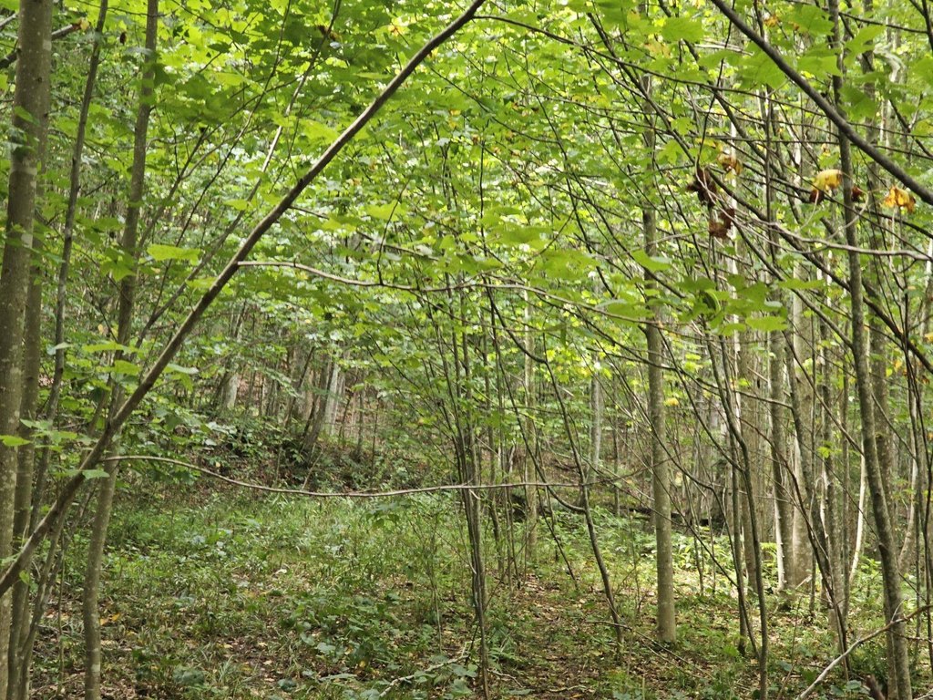 Picture 9