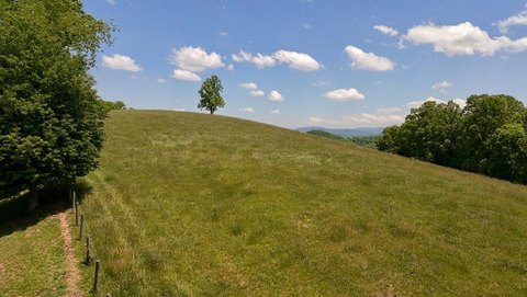 Turn-Key Cattle Farm in Honaker