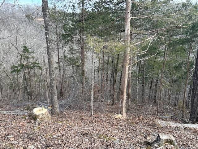 Picture 13