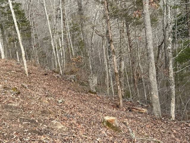 Picture 14