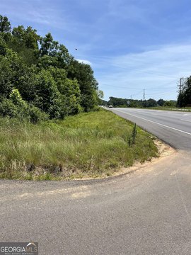 Commercial Land on Highway 441