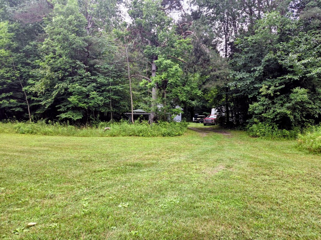 Picture 13