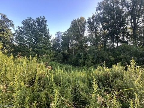 Land, East Bend, NC